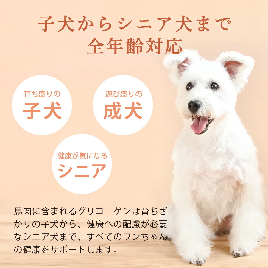 楽天市場】馬肉 ドッグフード 国産 ギフトナー 馬肉レシピ 900g 小粒