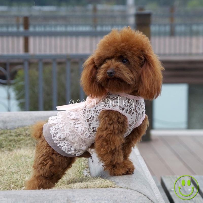 楽天市場】ペットウェア ワンピース 犬服 猫服 犬用ウェア ドッグ