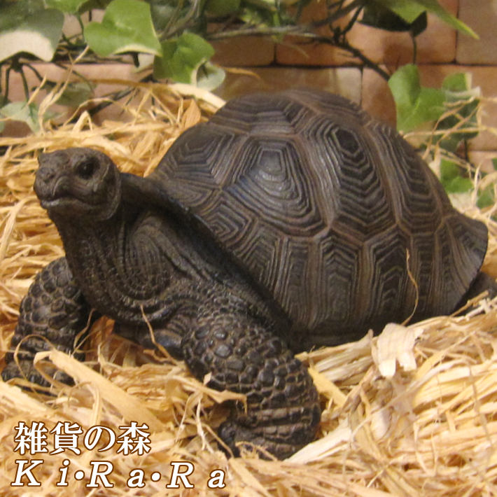 楽天市場】カメ 置物 Aタイプ リアルな亀の置物 爬虫類 縁起物 幸運