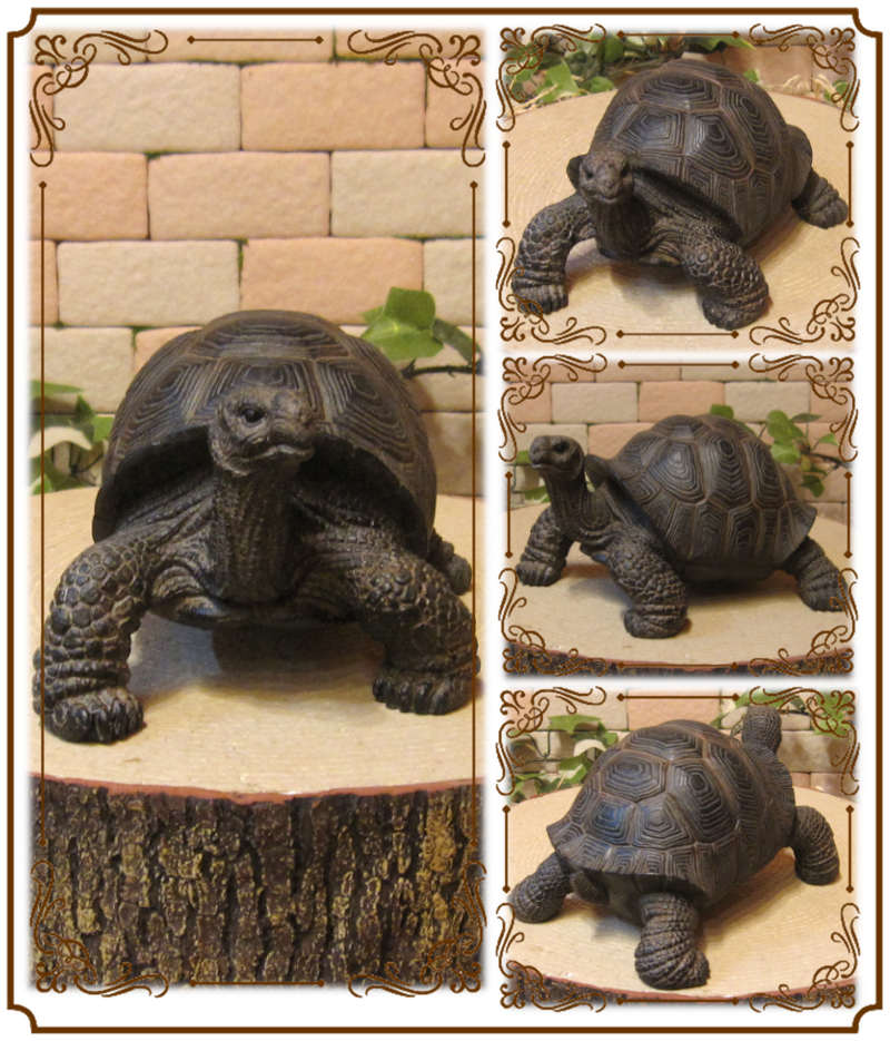 亀 剥製 亀 タイマイ 置物 インテリア オブジェ 縁起物 剥製