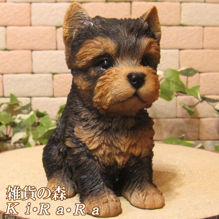 楽天市場】犬の置物 ヨークシャーテリア お座り ヨーキー ワンちゃん
