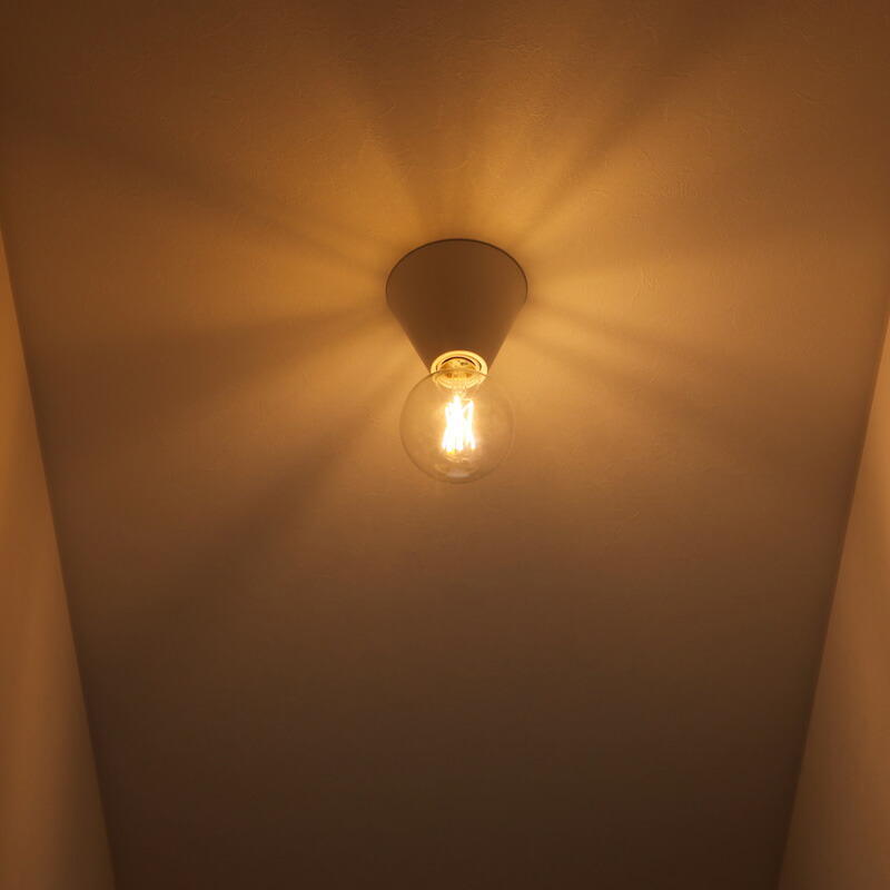 楽天市場】Eden Ceiling Light エデン シーリング ライト ART WORK