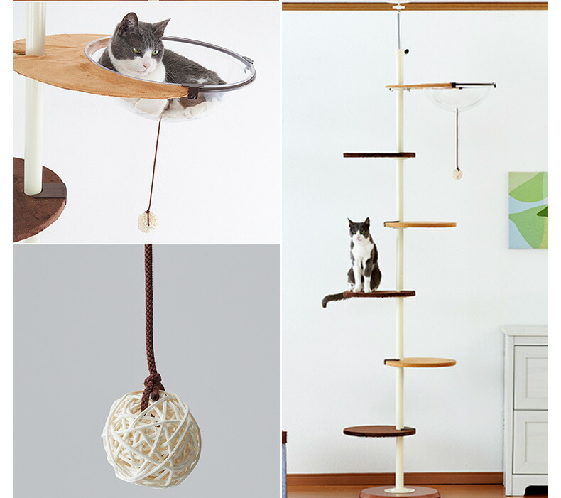 楽天市場】【LINE追加で500円OFF！】ボンビアルコン キャットポール