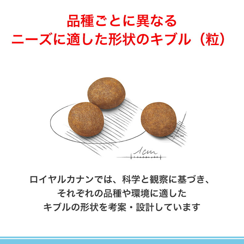 楽天市場】【6%OFFクーポン対象｜LINE追加で500円OFF！】ロイヤル