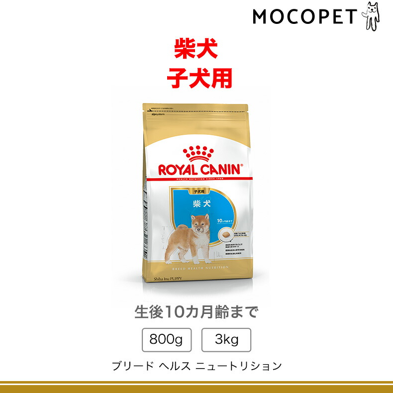 楽天市場】【5%OFFクーポン対象｜LINE追加で500円OFF！】ロイヤル