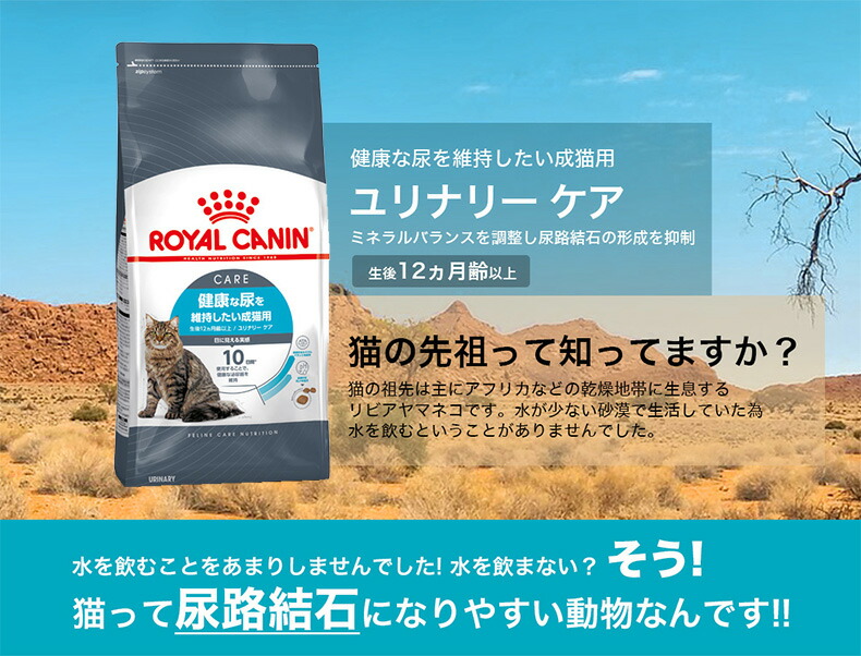 タイムセール中16日16時まで ロイヤルカナン ユリナリーケア タイム