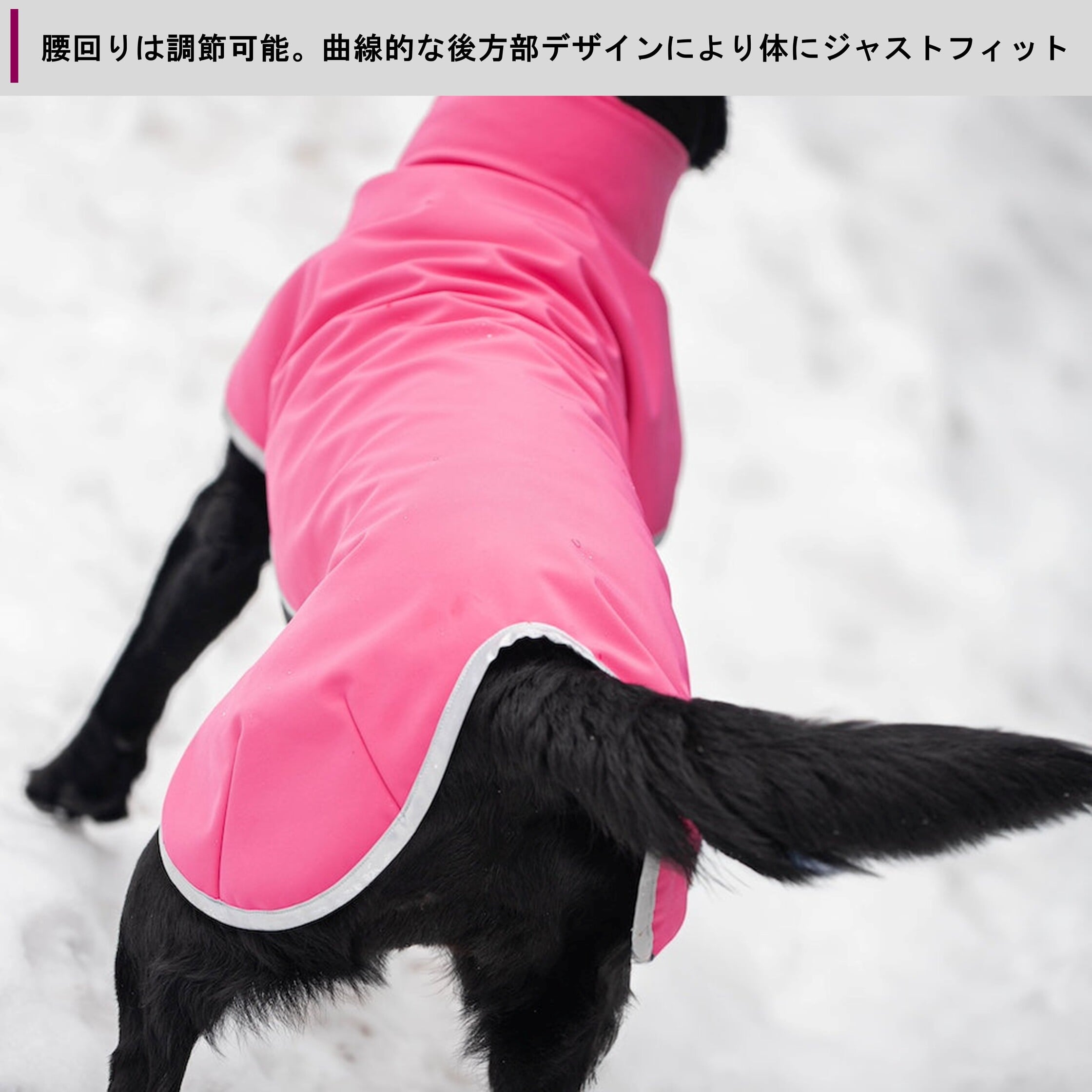 楽天市場】フィンランドのドッグブランド【Pomppa】【ポムッパ