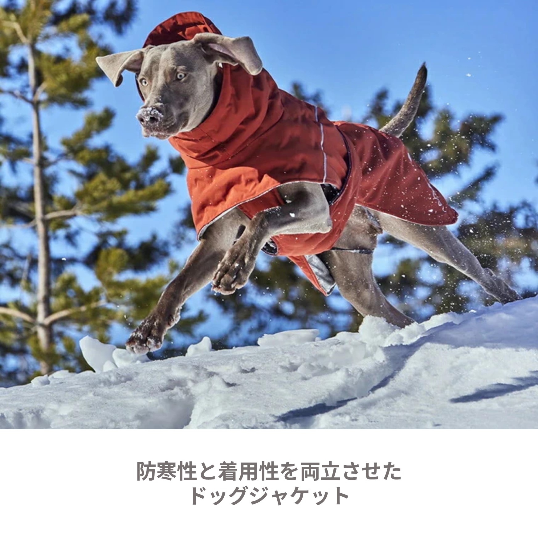 楽天市場】フィンランドのドッグブランド【Hurtta】【フルッタ