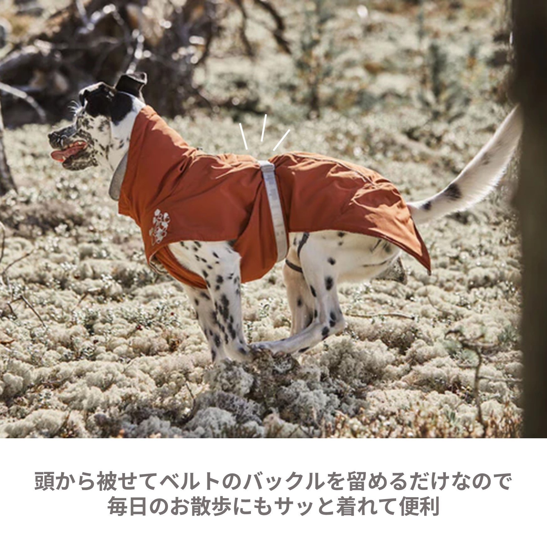 楽天市場】フィンランドのドッグブランド【Hurtta】【フルッタ