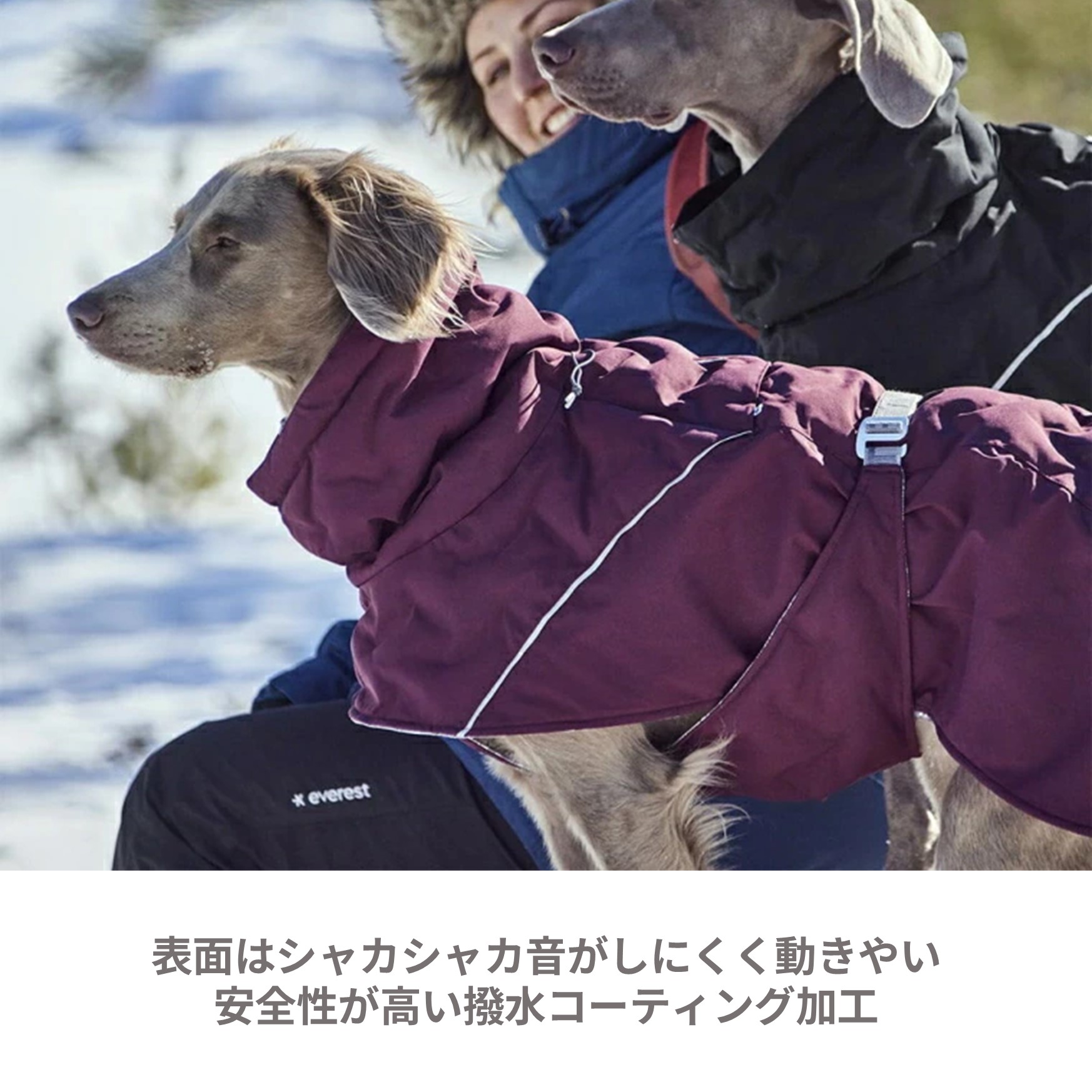 楽天市場】フィンランドのドッグブランド【Hurtta】【フルッタ