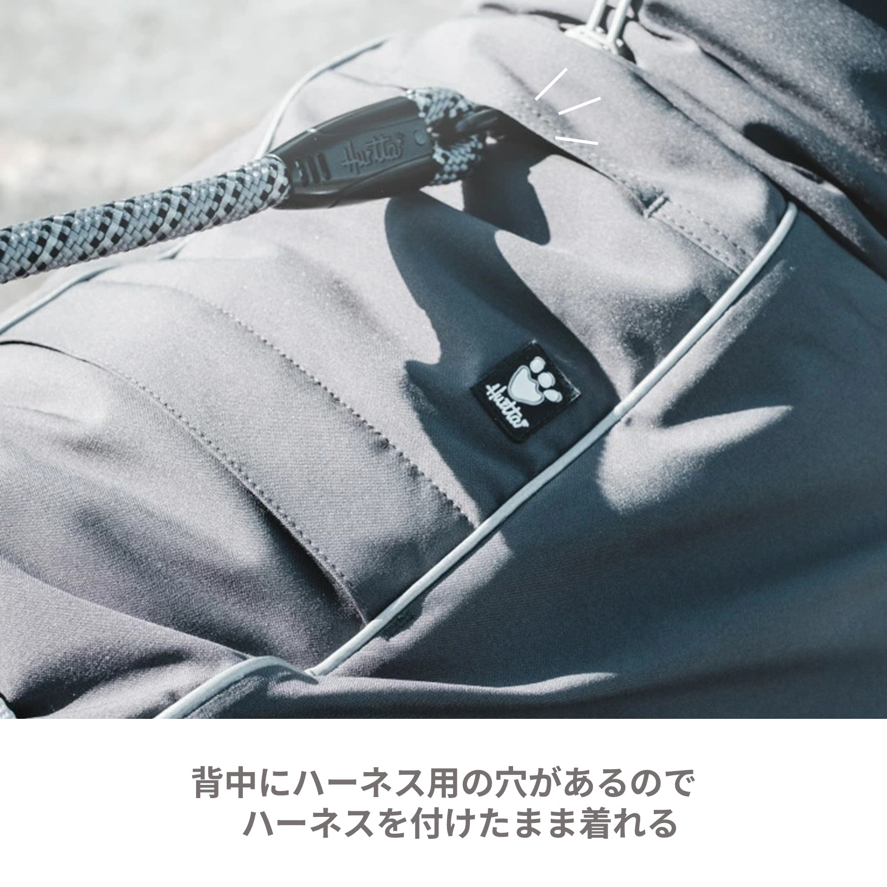 楽天市場】フィンランドのドッグブランド【Hurtta】【フルッタ