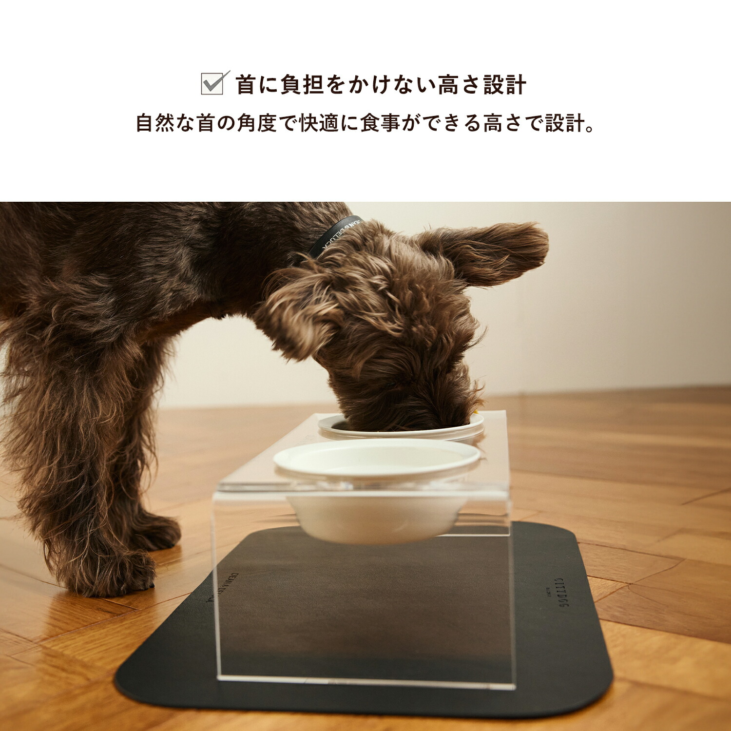 楽天市場】フードボウル おしゃれ ｜ 猫 ペット 食器 食器台 フード