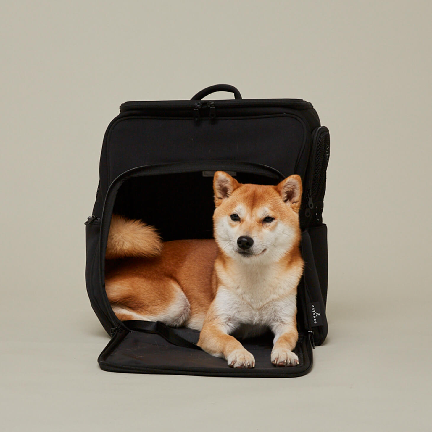 楽天市場】犬 リュック 10kg ｜ キャリーバッグ キャリー キャリー