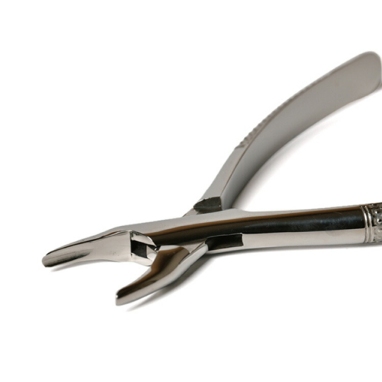 楽天市場】口腔用先丸ペンチ 中型犬や大型犬の歯石取りにも 愛犬 愛猫