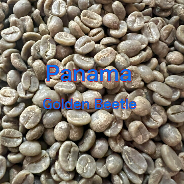 生豆 パナマ ゴールデンビートル SHB 10kg コーヒー 珈琲生豆 パナマ ゴールデンビートル SHB|ワールド珈琲商会【コーヒービーンズ