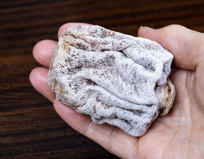 叶屋園芸場 手塚貴光作 『大和百目の枯露柿（ころがき）』 山梨県産