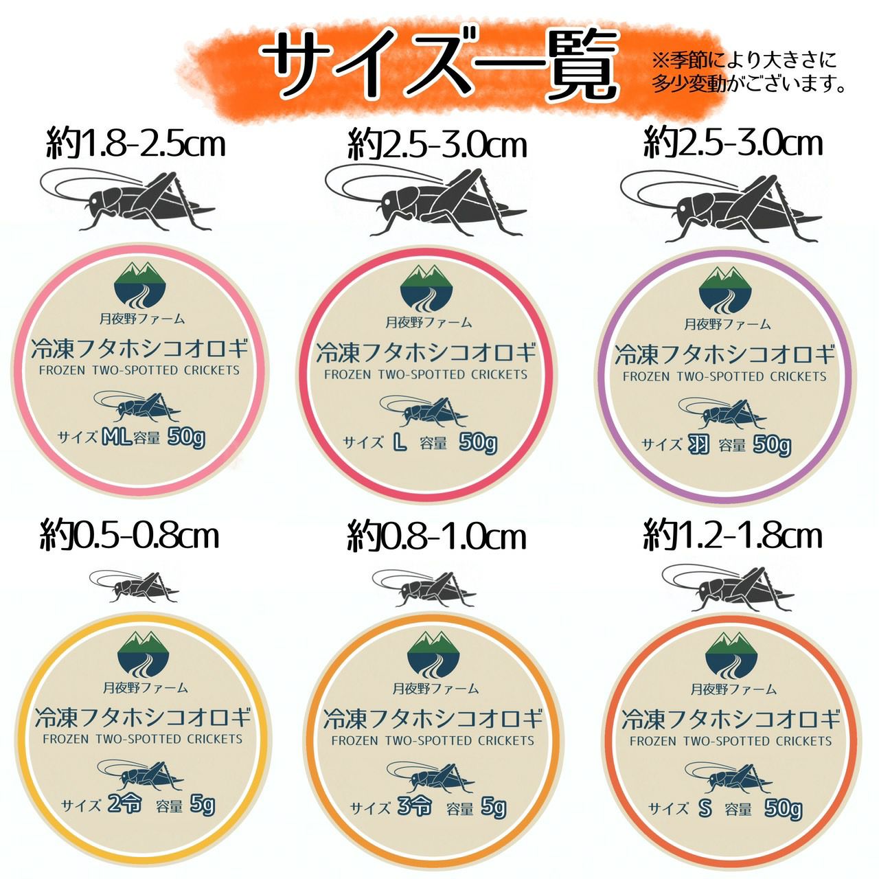 清潔コオロギ S〜Mサイズ 2kg 冷凍コオロギ クロコオロギ