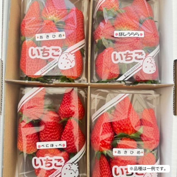 よみうり特選SHOP / 【送料込み】山梨県産 いちご4パック（3種類食べ