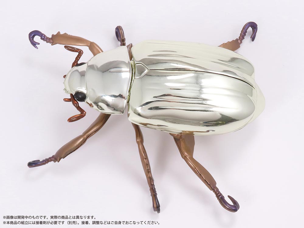 コスタリカ産 リンバータプラチナコガネ 22mm プラチナコガネ(リン