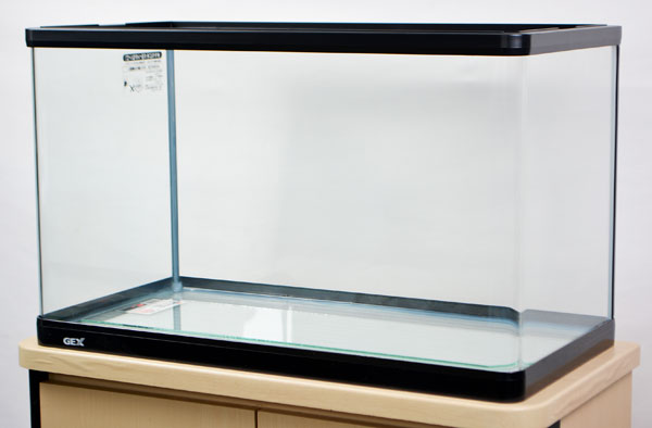GEX 60cm曲げガラス水槽 ラピレスRV60N | 熱帯魚・水槽