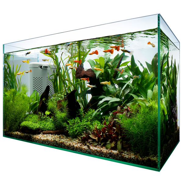 テトラ サイレントフレックスセット 60 60cmフレームレスガラス水槽