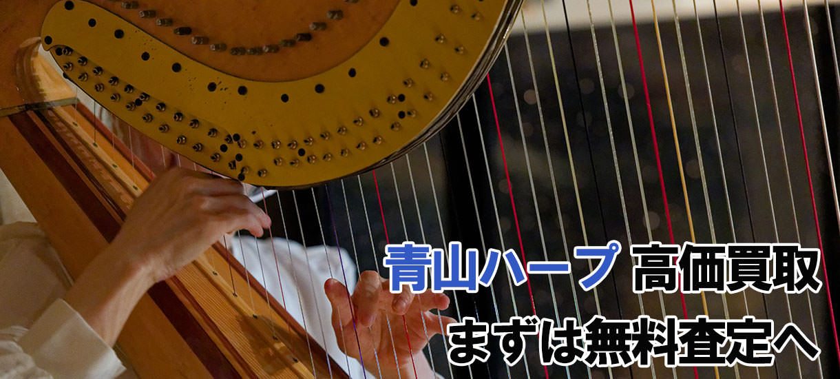 アイリッシュハープ AOYAMA アオヤマ 29S 29弦 青山ハープ 29弦 から草