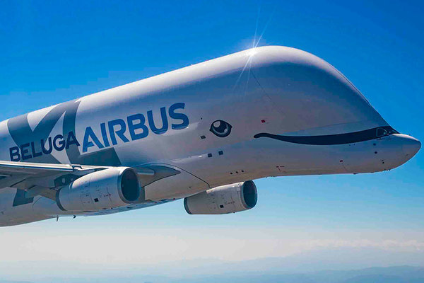 なんじゃこりゃ!? エアバス超異形貨物機「ベルーガ XL」 組立進む新