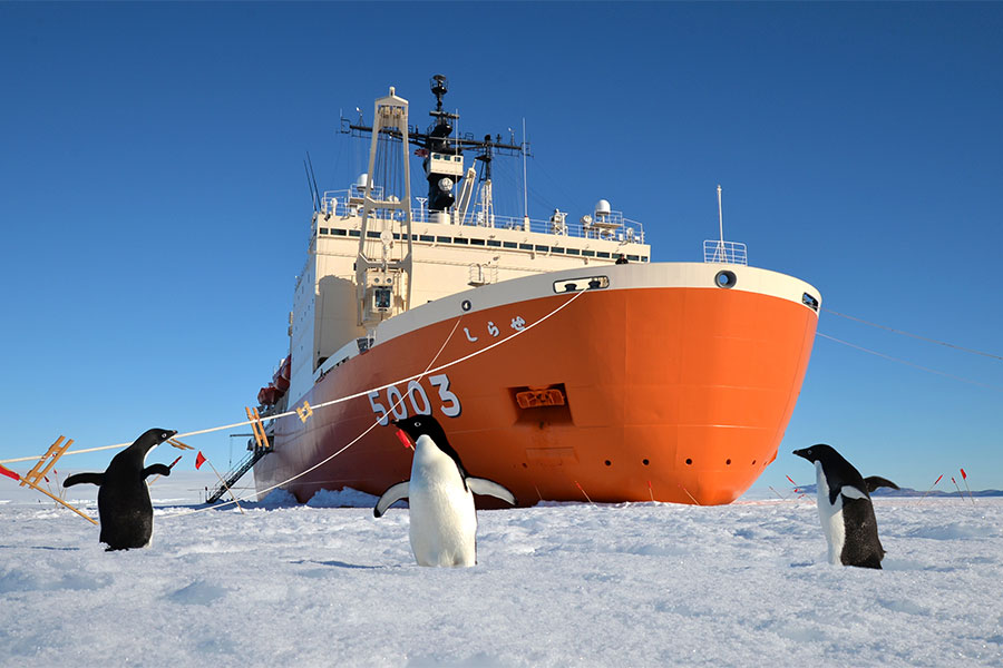 南極 南極の石 しらせ 昭和基地 南極観測船 ふじ 南極観測船ふじ