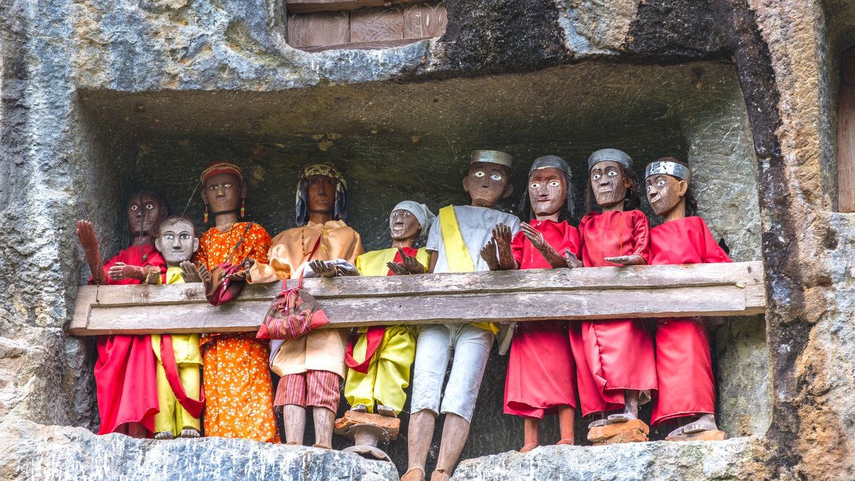 インドネシア スラウェシ島 トラジャ族のイカット5 インドネシア