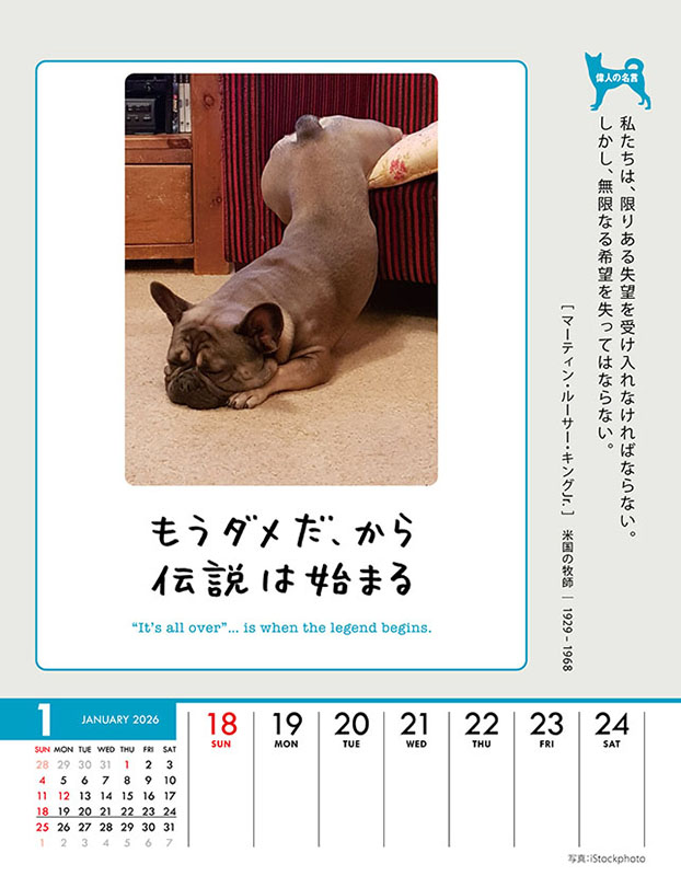 トライエックス / 人生はワンチャンス！ 卓上/壁掛 2026年カレンダー