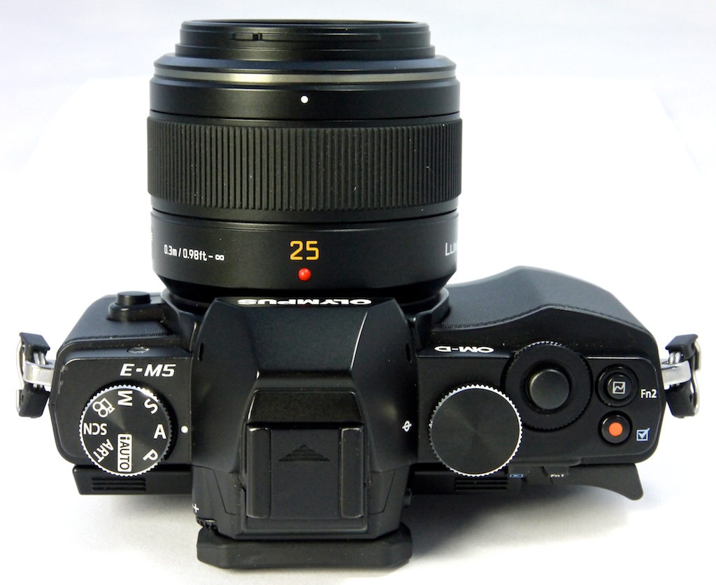 Panaleica DG Summilux 25mm f/1.4 ASPH, I couldn't help myself