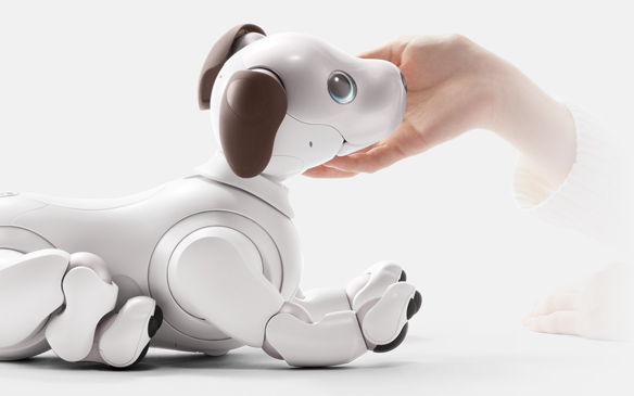 レンタル] ソニー エンタテインメントロボット aibo アイボリー