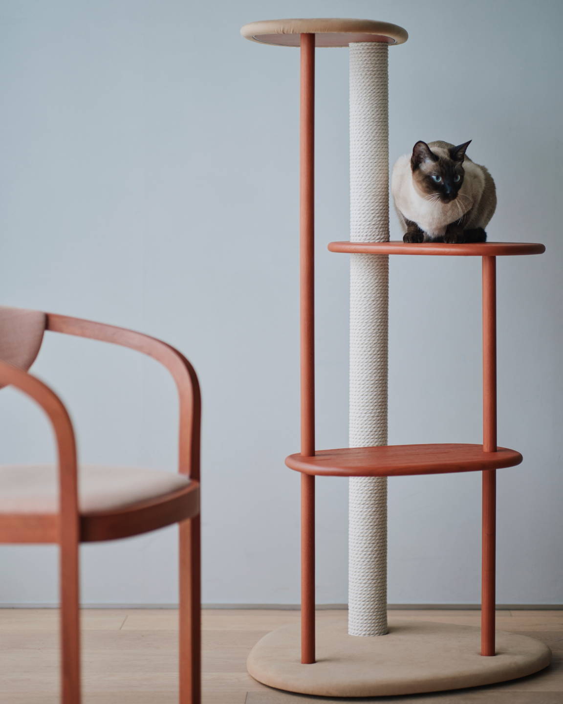 KARIMOKU CAT TREE 2024 Limited edition
