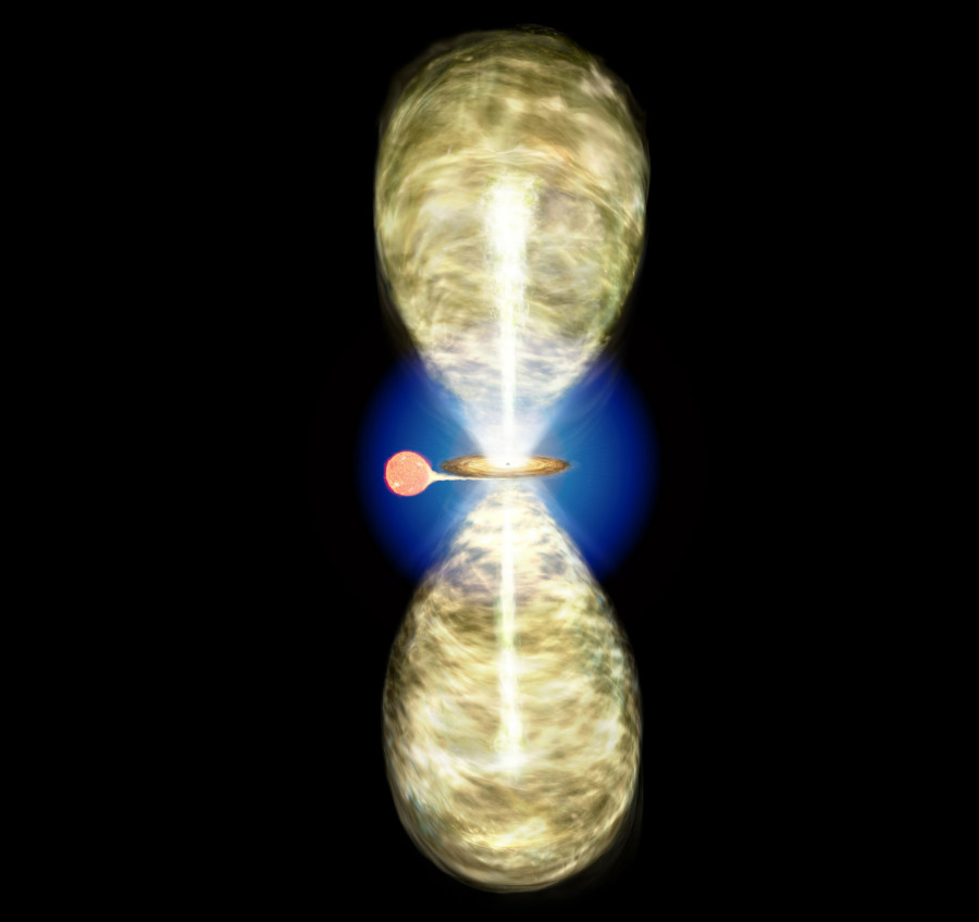 抽象的なパステル画 植物と球体宙花 抽象的なパステル画 植物