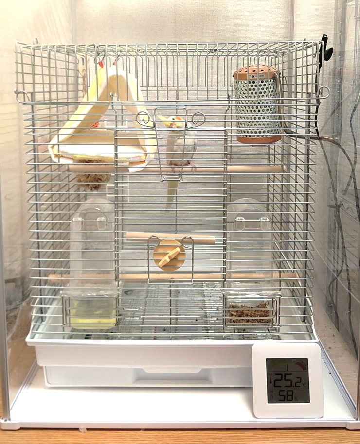 HOEI オカメ465ステンレス】オカメインコのケージ選びで迷ったらこれを