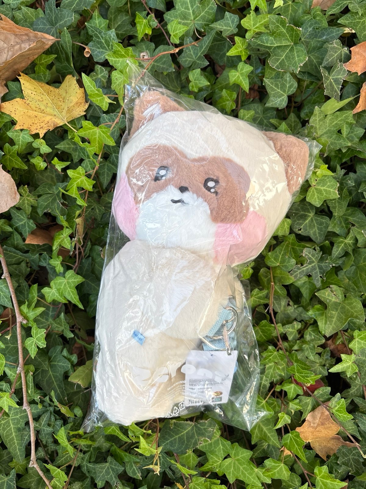 ZB1 - ZHANG HAO - Zeroni Hanini Plush Bag | Mercari