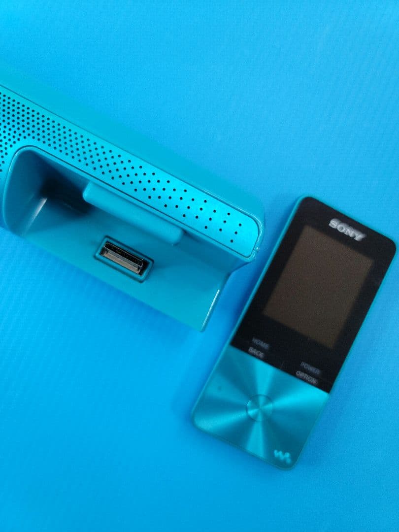 SONY WALKMAN NW-S313K SNOOPY Style