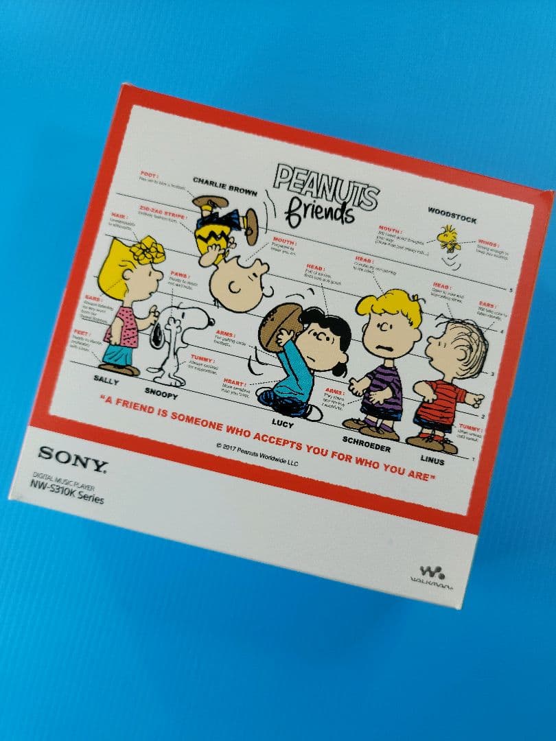 SONY WALKMAN NW-S313K SNOOPY Style