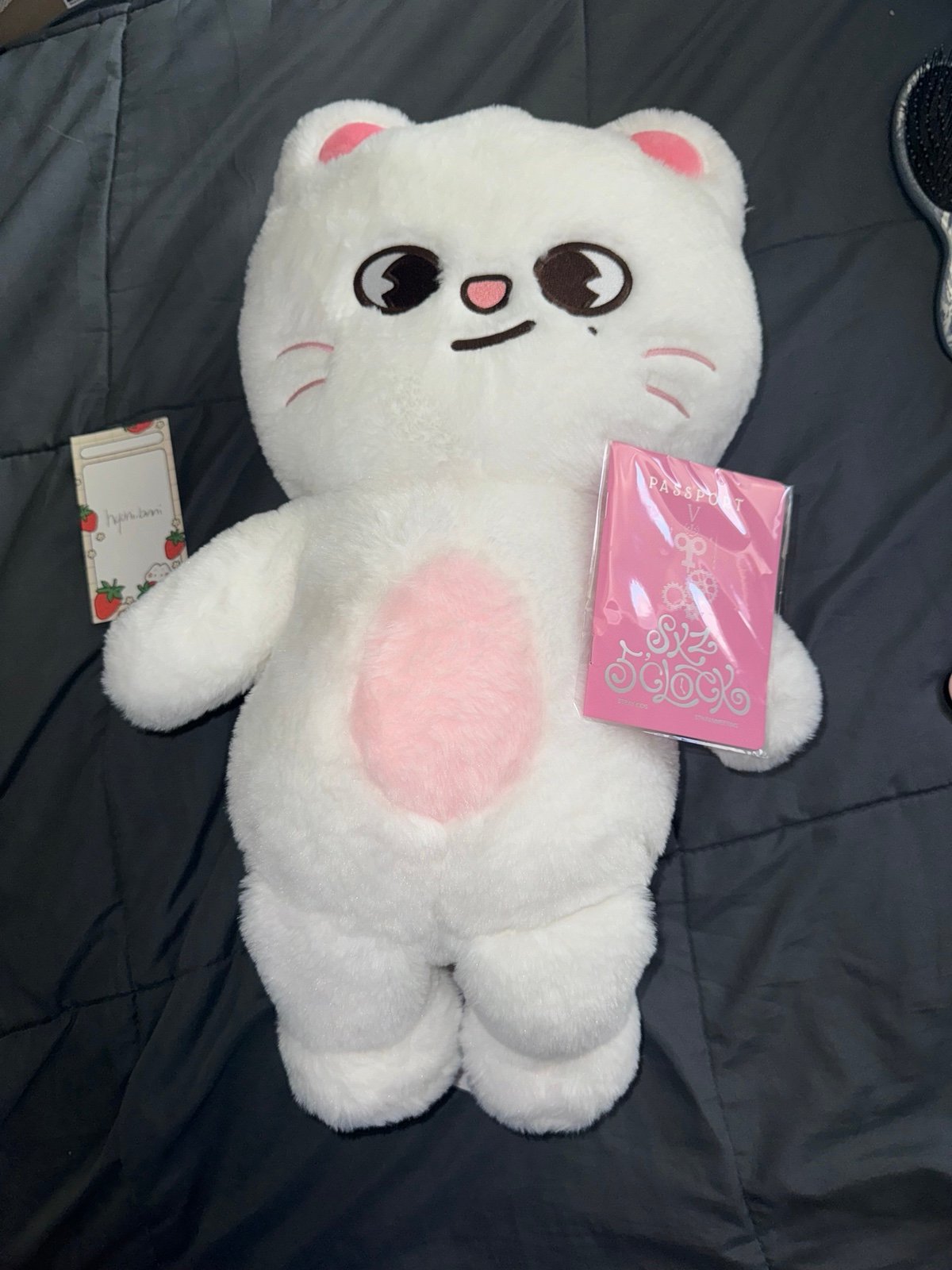 テディベア ぬいぐるみ teddybear SKZOOジニレットJiniret Stray Kids