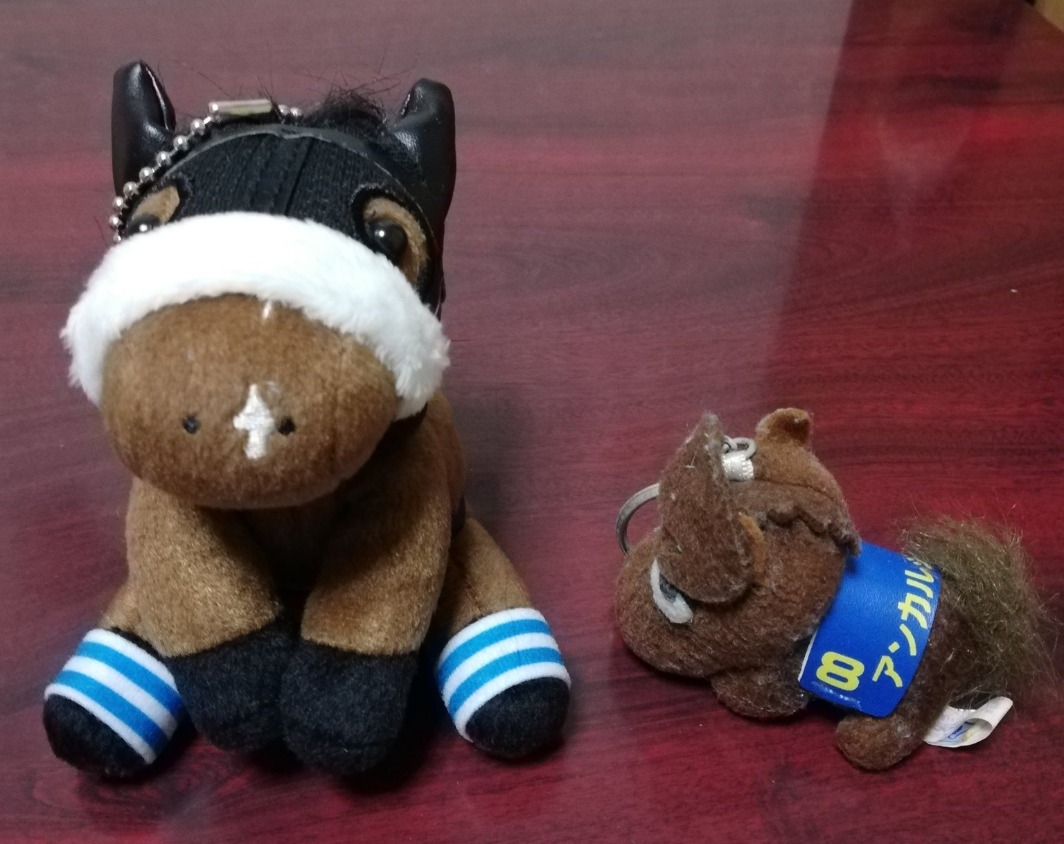 アイドルホースアーモンドアイ美浦トレセン非売品