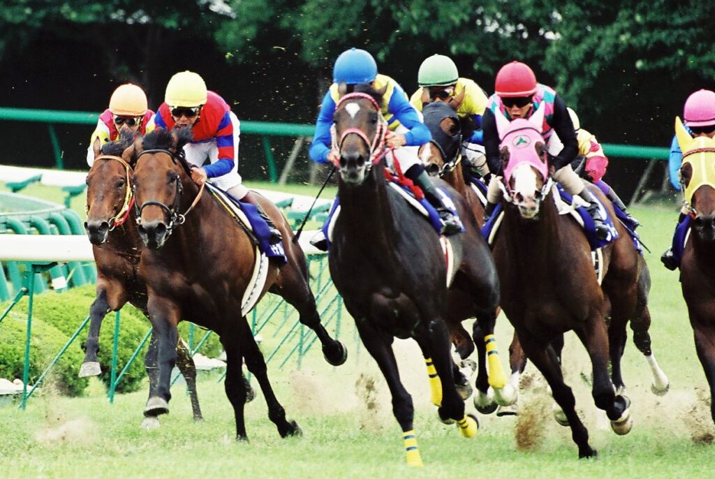 最強世代」、1年遅れのG1制覇。ダンツフレームが制した2002年の