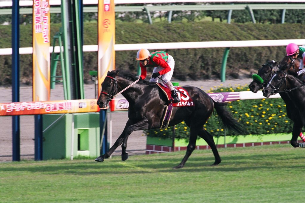 コスモバルクと見続けた「次への夢」。判官贔屓な私が目撃した