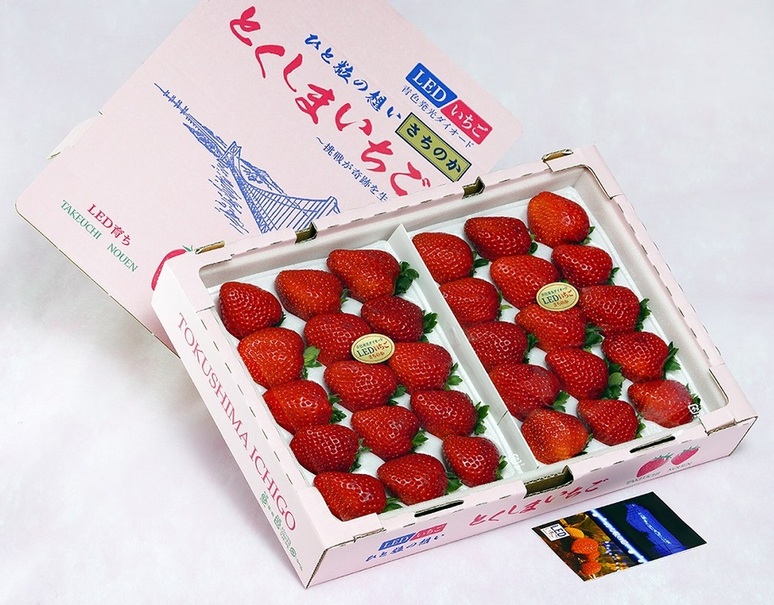 竹内農園 LEDいちご『とくしまいちご（品種 さちのか）』徳島県産 2