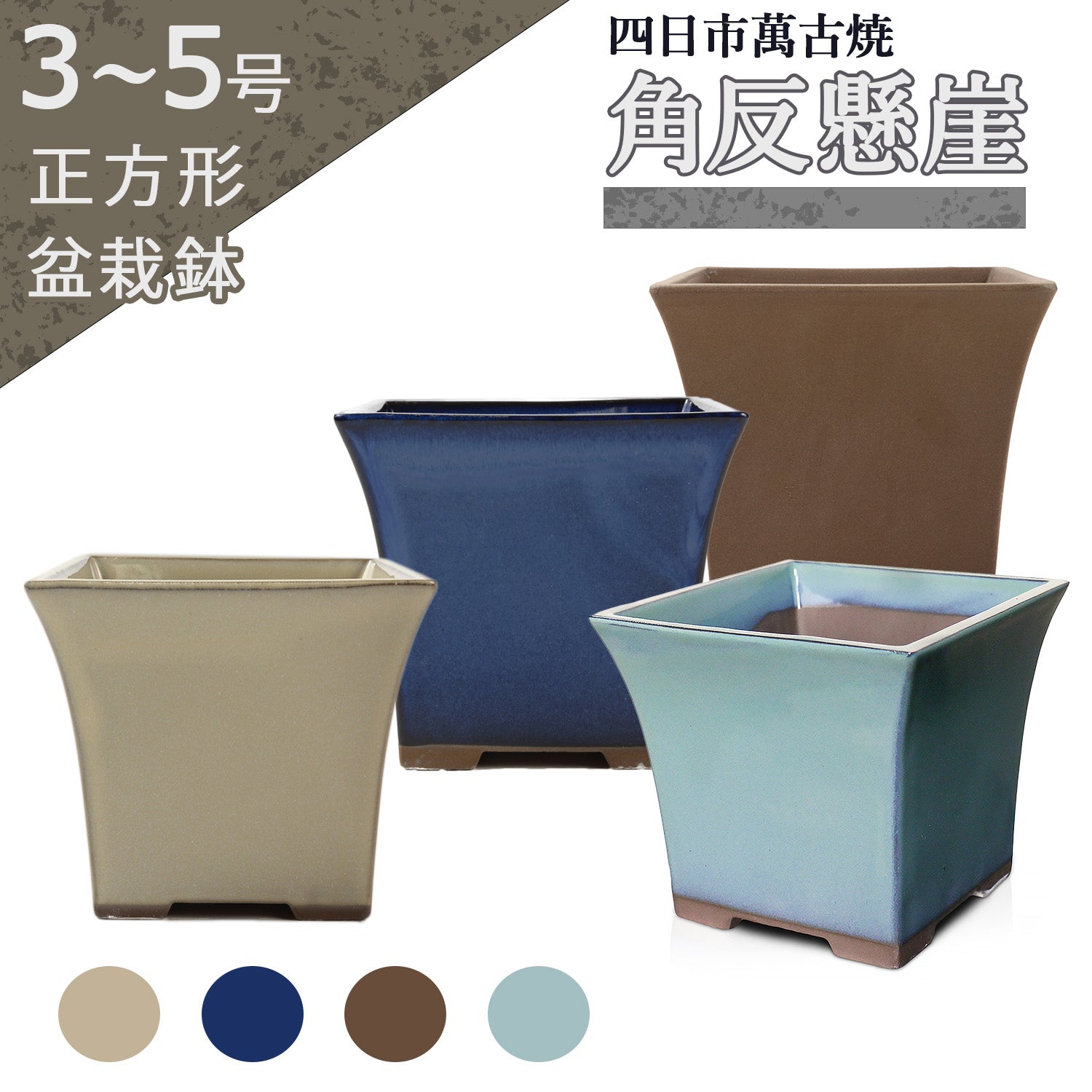 hachi – うめきち盆栽用品店