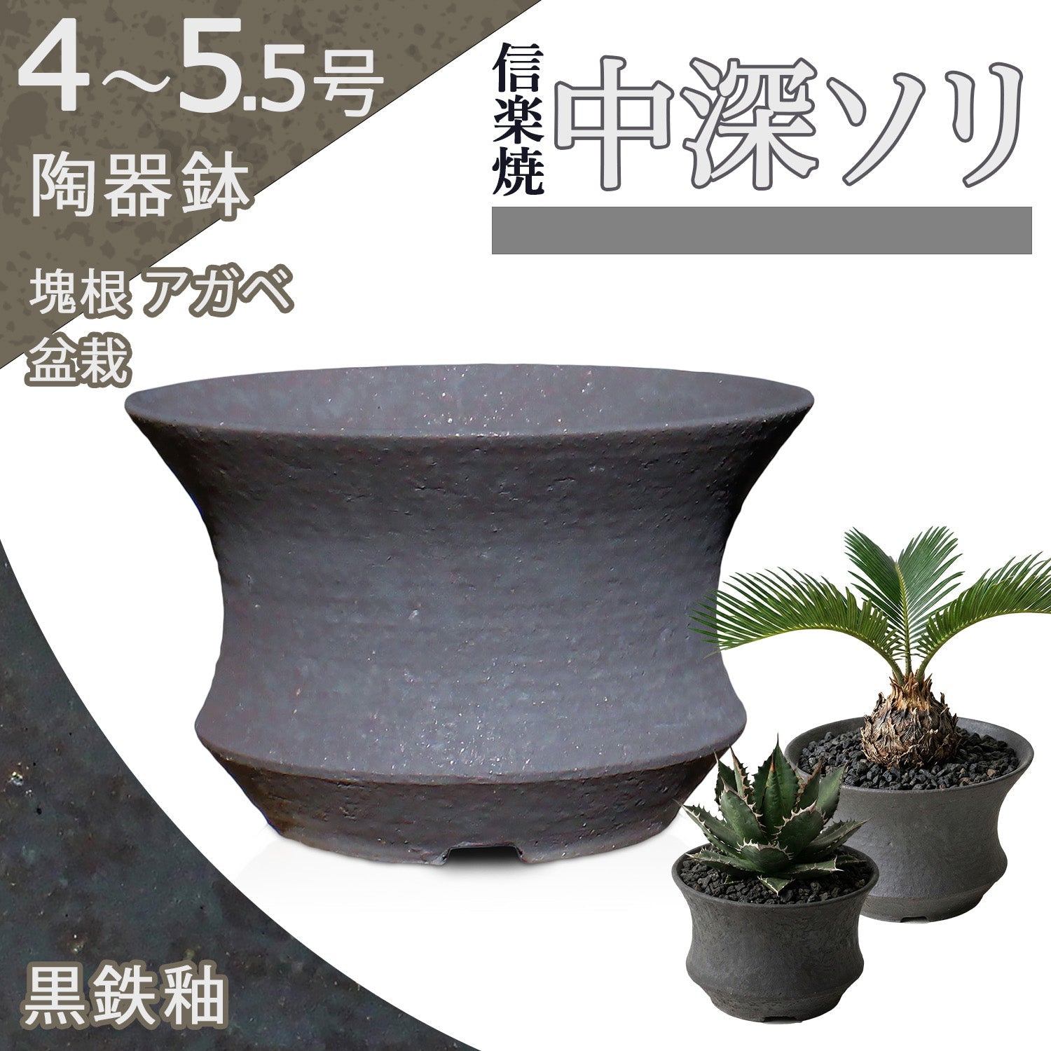 うめきち本店 – うめきち盆栽用品店