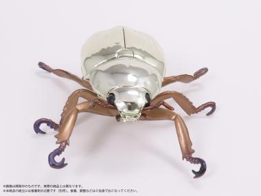 コスタリカ産 リンバータプラチナコガネ 22mm 1_f394318f-0f20-4825-ab45-