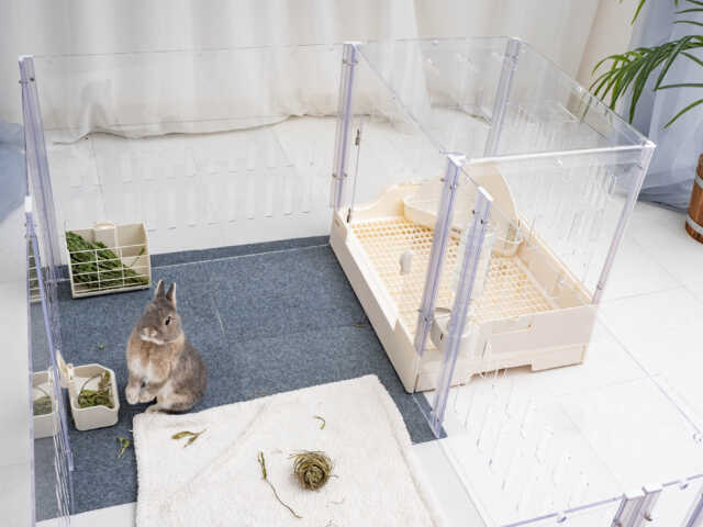 新スタイル「GEX ラビング クリアメゾン120」モデルさんの声