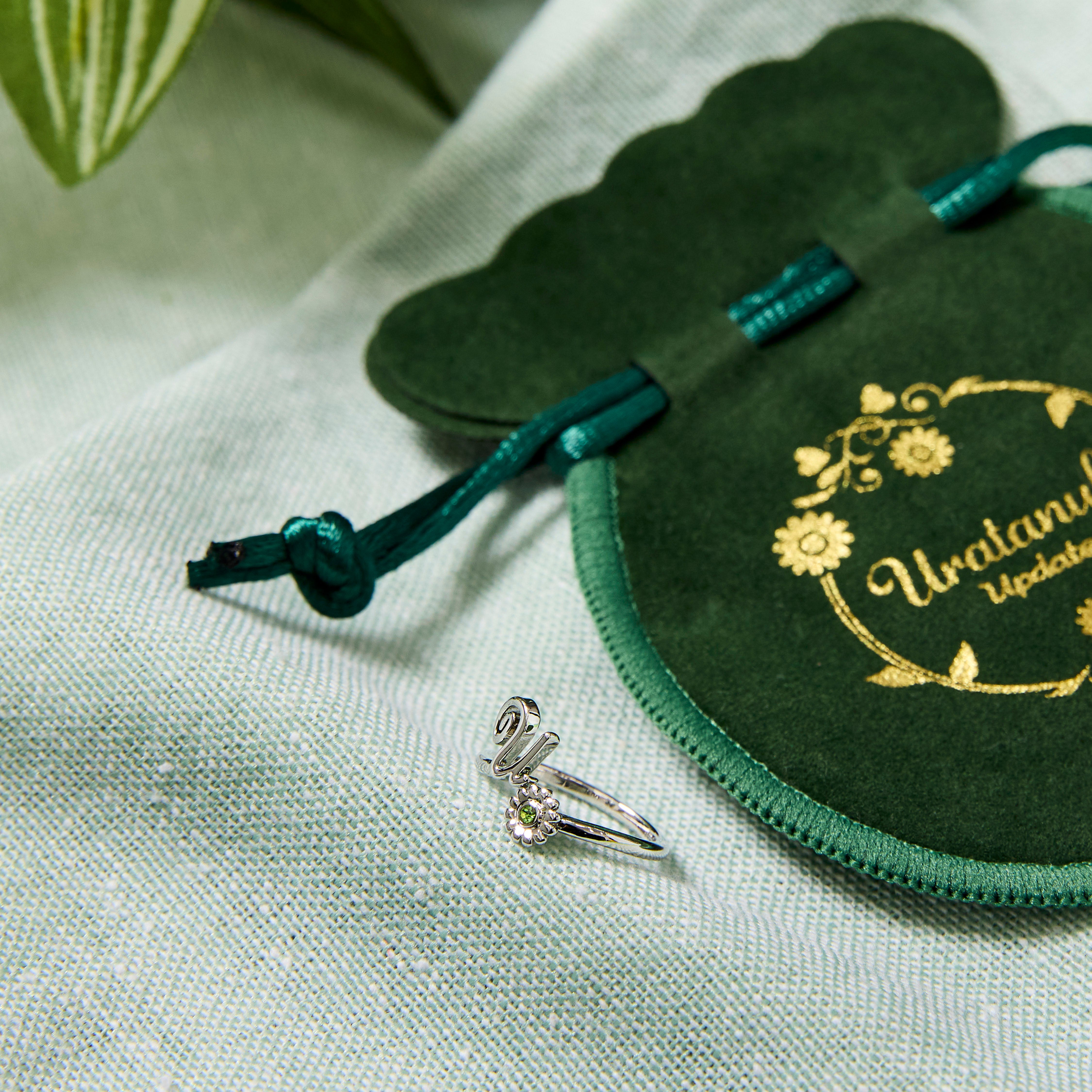 08-aaa_1336.jpg?v=1756518335&