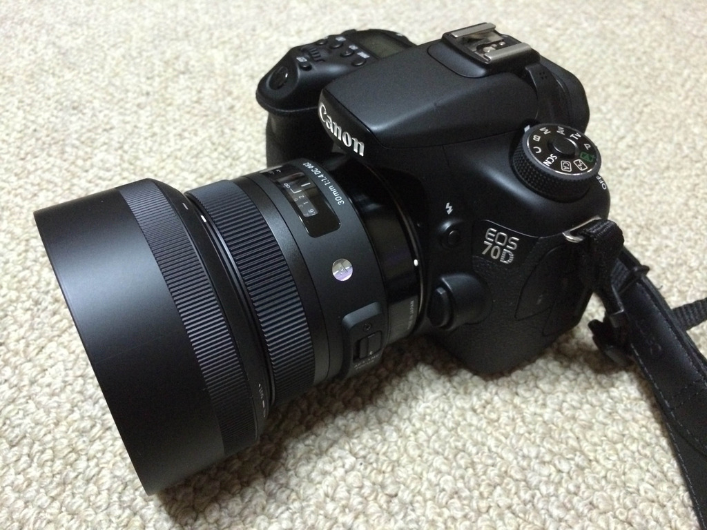 SIGMA 30mm F1.4 DC HSM Artライン を買ってみました - 無題ドキュメント