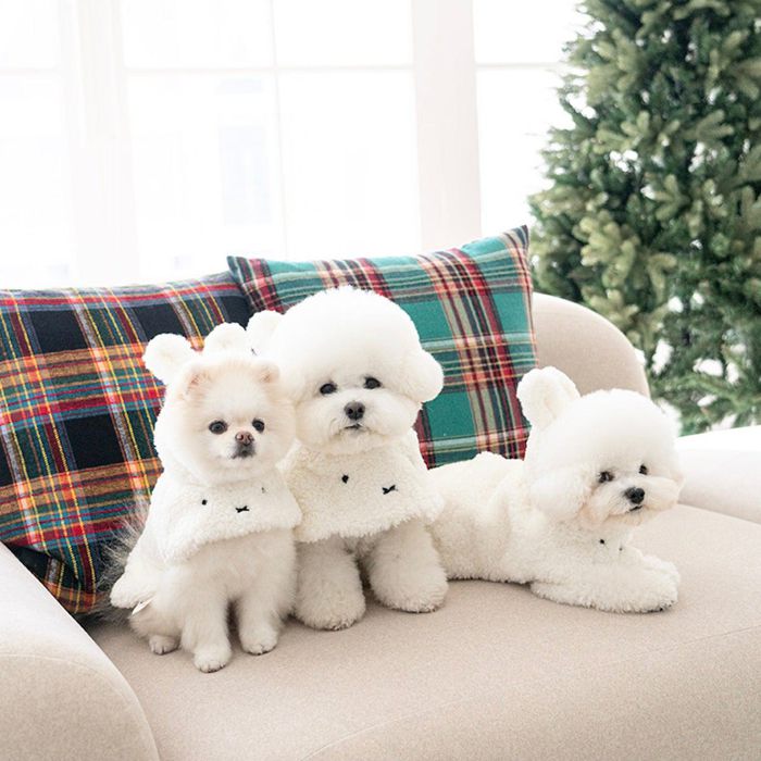 noutti × Miffyコラボの冬のお散歩にぴったりのポンチョ L 試着のみ